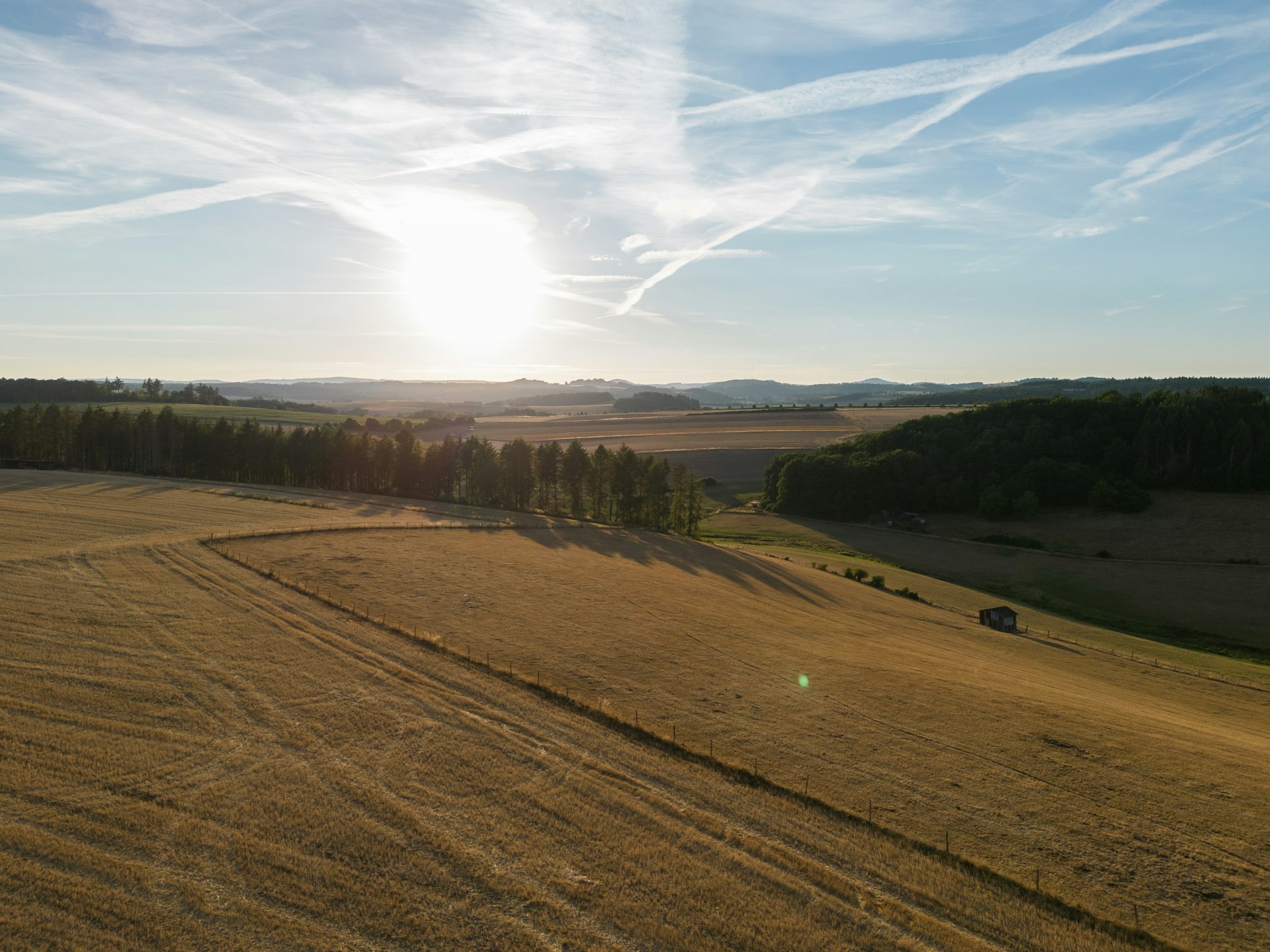 a large field with trees and a sun in the background